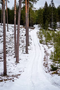 karlı kış yol derin karla kaplı