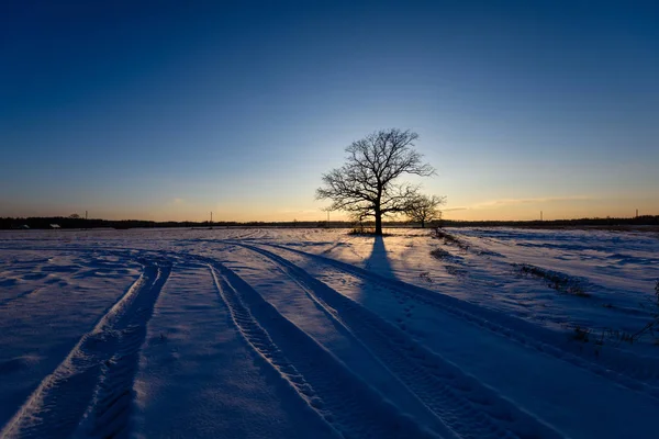 Πολύχρωμο Χειμώνας Ηλιοβασίλεμα με ακτίνες φωτός που έρχονται μέσα από τα μεγάλα — Φωτογραφία Αρχείου