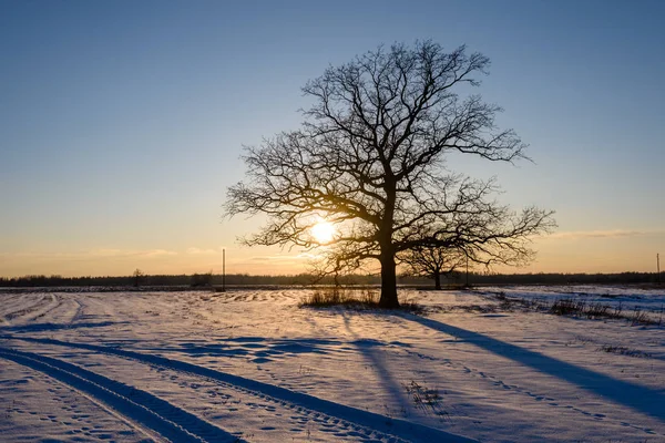 Renkli Kış Günbatımı ile büyük gelen ışık ışınları — Stok fotoğraf