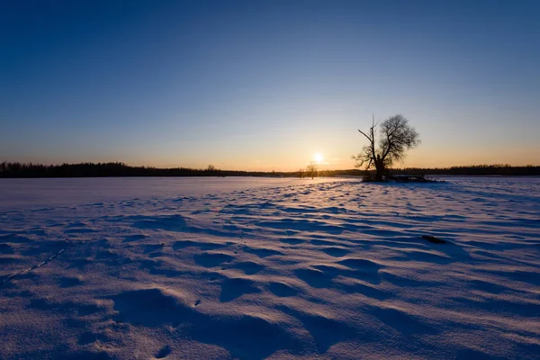 Coucher de soleil d'hiver coloré avec des rayons de lumière venant à travers le grand — Photo