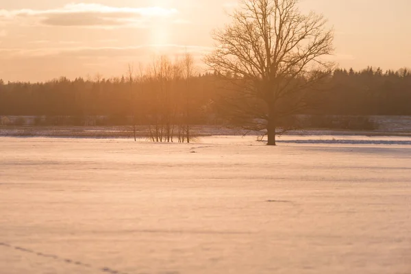 Pôr do sol de inverno colorido com raios de luz que vêm através do grande — Fotografia de Stock