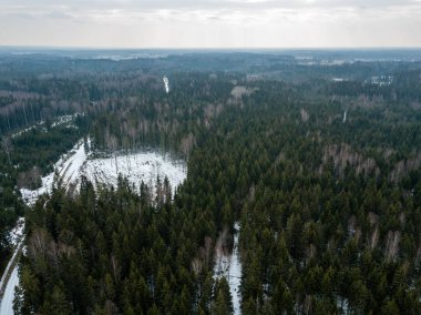 drone görüntü. kırsal alan ile winte orman yolu havadan görünümü