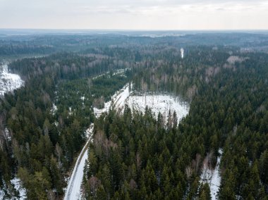 drone görüntü. kırsal alan ile winte orman yolu havadan görünümü
