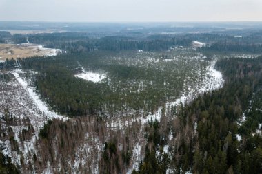 drone görüntü. kırsal alan ile winte orman yolu havadan görünümü