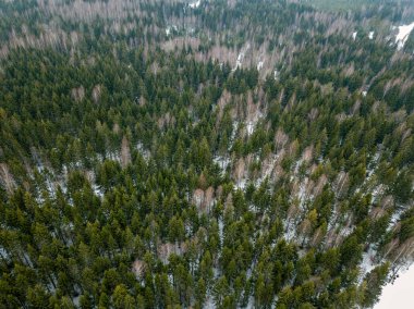 drone görüntü. kırsal alan ile winte orman yolu havadan görünümü