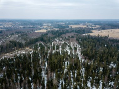 drone görüntü. kırsal alan ile winte orman yolu havadan görünümü