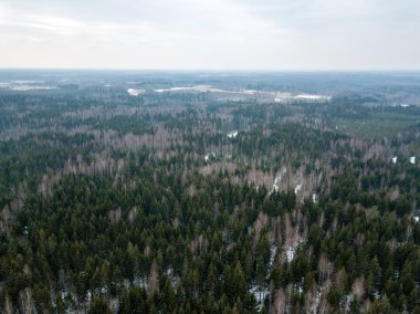 drone görüntü. kırsal alan ile winte orman yolu havadan görünümü