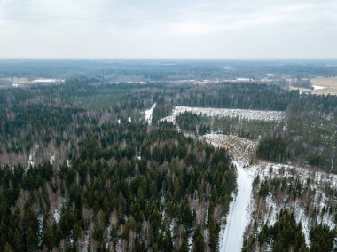 drone görüntü. kırsal alan ile winte orman yolu havadan görünümü
