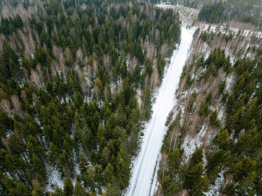 drone görüntü. kırsal alan ile winte orman yolu havadan görünümü
