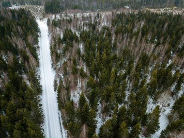 drone görüntü. kırsal alan ile winte orman yolu havadan görünümü