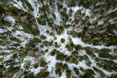 drone görüntü. kırsal alan ile winte orman yolu havadan görünümü