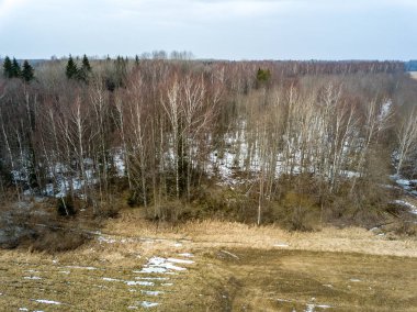 Drone görüntü. erken spri alanları ile kırsal bölgenin havadan görünümü