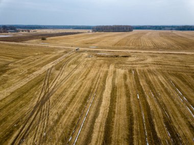 Drone görüntü. erken spri alanları ile kırsal bölgenin havadan görünümü