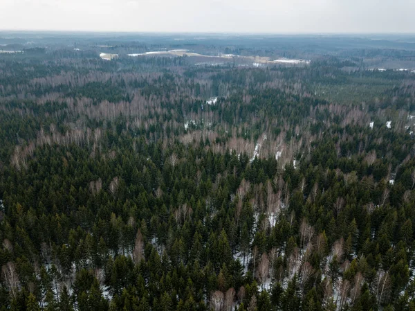 Image de drone. vue aérienne de la zone rurale avec route forestière en hiver — Photo