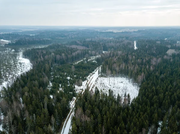 drone image. aerial view of rural area with forest road in winte