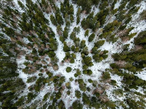 Imagem de drone. vista aérea da zona rural com estrada florestal em winte — Fotografia de Stock