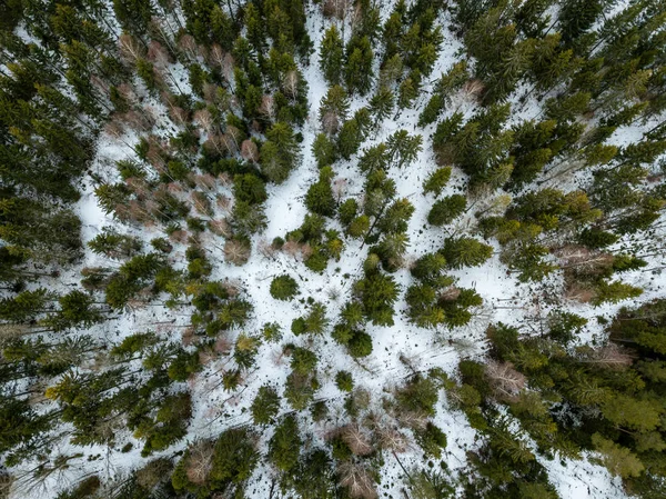 Imagem de drone. vista aérea da zona rural com estrada florestal em winte — Fotografia de Stock