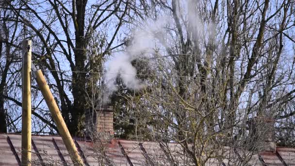 Fumaça Saindo Chaminé Casa Campo Com Telhado Metal Floresta — Vídeo de Stock