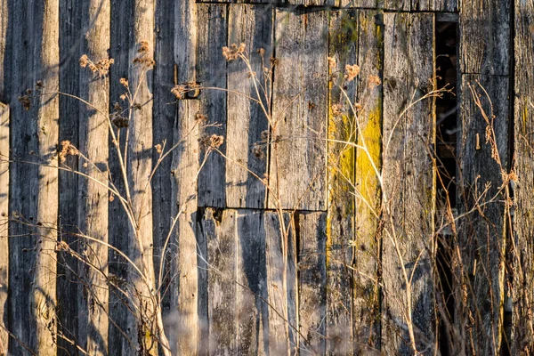 Clôture en planches de bois dans la campagne — Photo