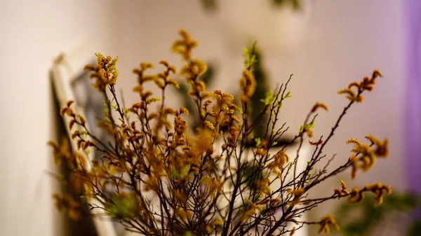 Tema de decorações de casamento, flores no interior branco — Fotografia de Stock