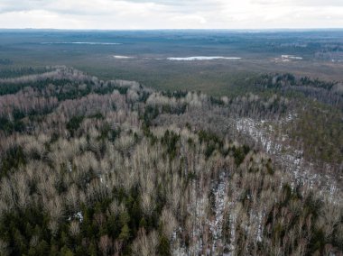 Drone görüntü. alanları ve ormanları ile kırsal bölgenin havadan görünümü