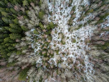 Drone görüntü. alanları ve ormanları ile kırsal bölgenin havadan görünümü