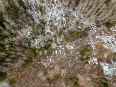 Drone görüntü. alanları ve ormanları ile kırsal bölgenin havadan görünümü