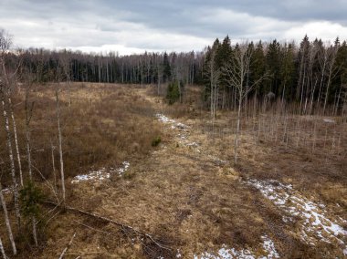 Drone görüntü. alanları ve ormanları ile kırsal bölgenin havadan görünümü