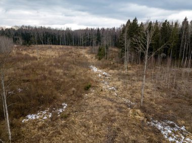 Drone görüntü. alanları ve ormanları ile kırsal bölgenin havadan görünümü