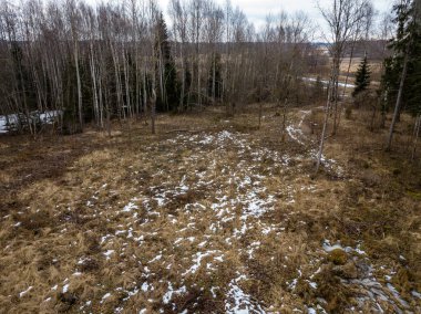 Drone görüntü. alanları ve ormanları ile kırsal bölgenin havadan görünümü