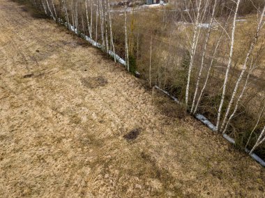 Drone görüntü. alanları ve ormanları ile kırsal bölgenin havadan görünümü