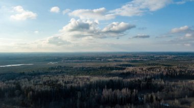 Drone görüntü. alanları ve ormanları ile kırsal bölgenin havadan görünümü