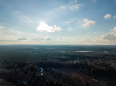 Drone görüntü. alanları ve ormanları ile kırsal bölgenin havadan görünümü