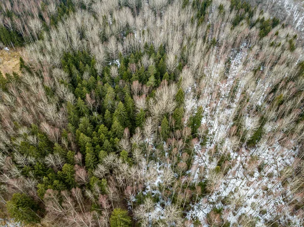 Drohnenbild. Luftaufnahme des ländlichen Raums mit Feldern und Wäldern — Stockfoto