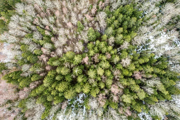 Drone kép. a légi felvétel a vidék, a mezők és erdők — Stock Fotó