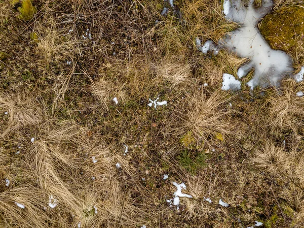 Drohnenbild. Luftaufnahme des ländlichen Raums mit Feldern und Wäldern — Stockfoto