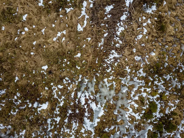 ड्रोन प्रतिमा. फील्ड आणि जंगलांसह ग्रामीण भागातील हवाई दृश्य — स्टॉक फोटो, इमेज
