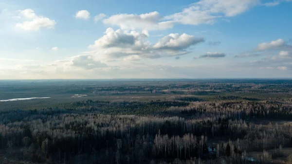 Drone obrazu. Widok z lotu ptaka z obszarów wiejskich z pól i lasów — Zdjęcie stockowe