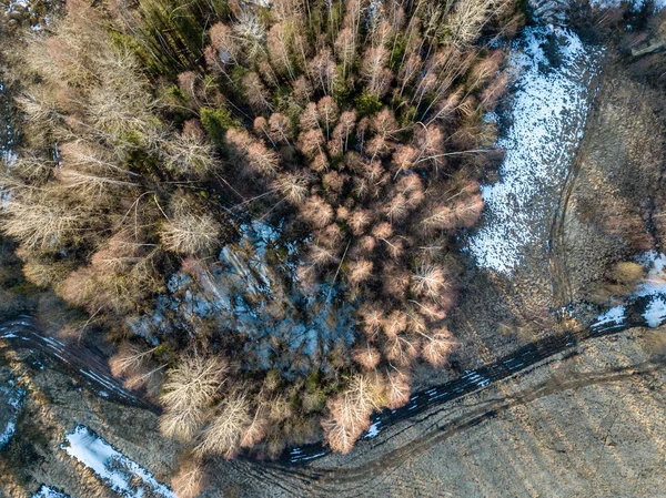 Drohnenbild. Luftaufnahme des ländlichen Raums mit Feldern und Wäldern — Stockfoto