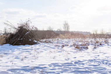 patika kırsalında donmuş göl üzerinde karda