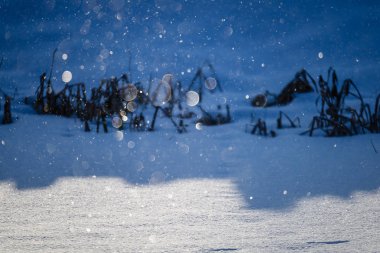 blizzard beyaz kar arka plan ile düşen kar pul