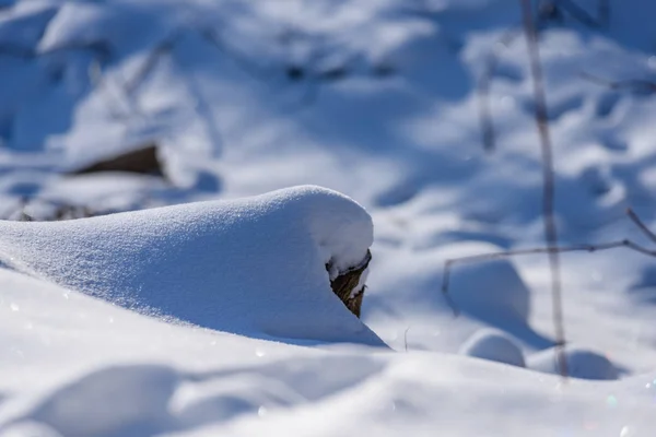 Sombras en la nieve. invierno en el campo —  Fotos de Stock