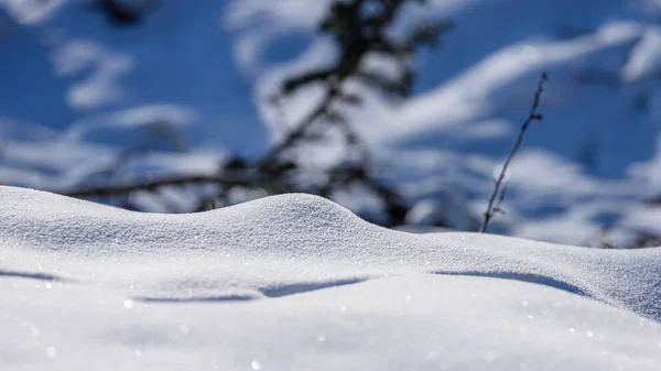 Schaduwen in de sneeuw. winter op platteland — Stockfoto