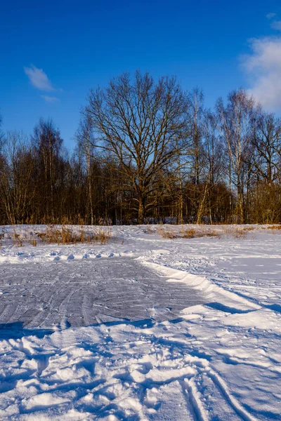 Wandelpad in sneeuw over bevroren meer op platteland — Stockfoto