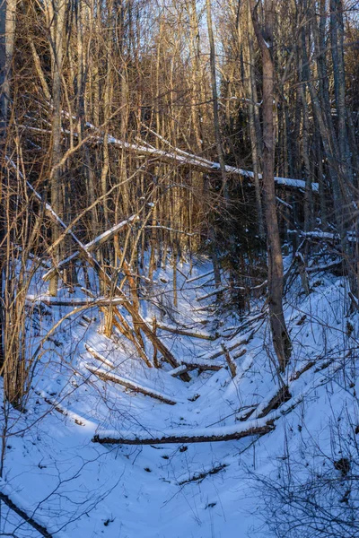 Shadows in snow. winter in countryside — Stock Photo, Image