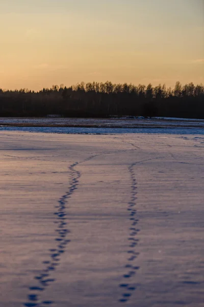 Trilha na neve sobre o lago congelado no campo — Fotografia de Stock