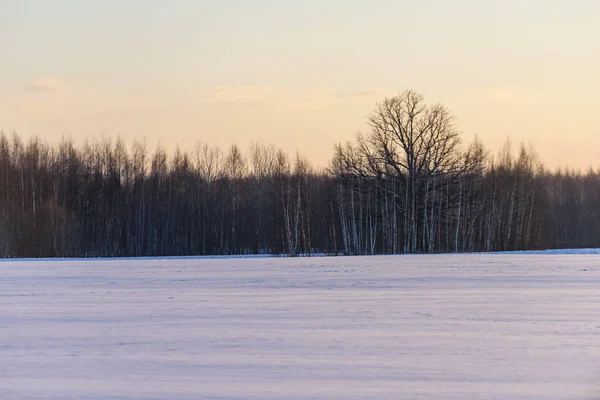 Zimowych krajobrazów w dzień czyste zimowe — Zdjęcie stockowe