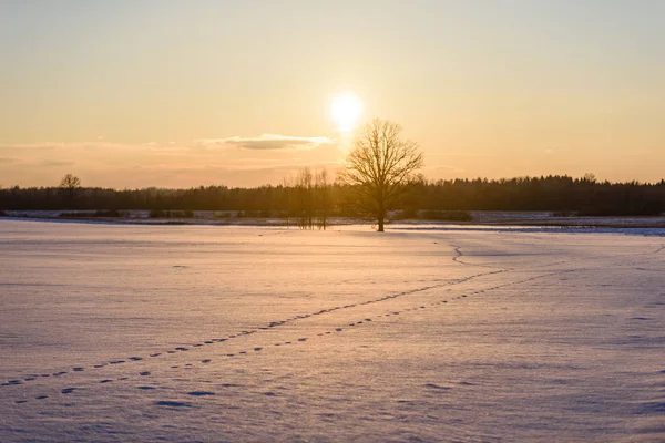 Trilha na neve sobre o lago congelado no campo — Fotografia de Stock