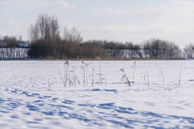 patika kırsalında donmuş göl üzerinde karda