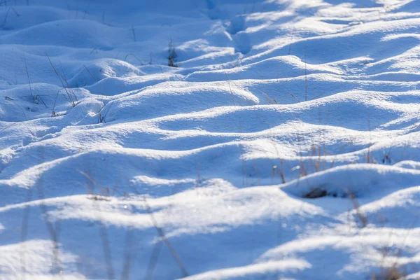 Schatten im Schnee. Winter auf dem Land — Stockfoto